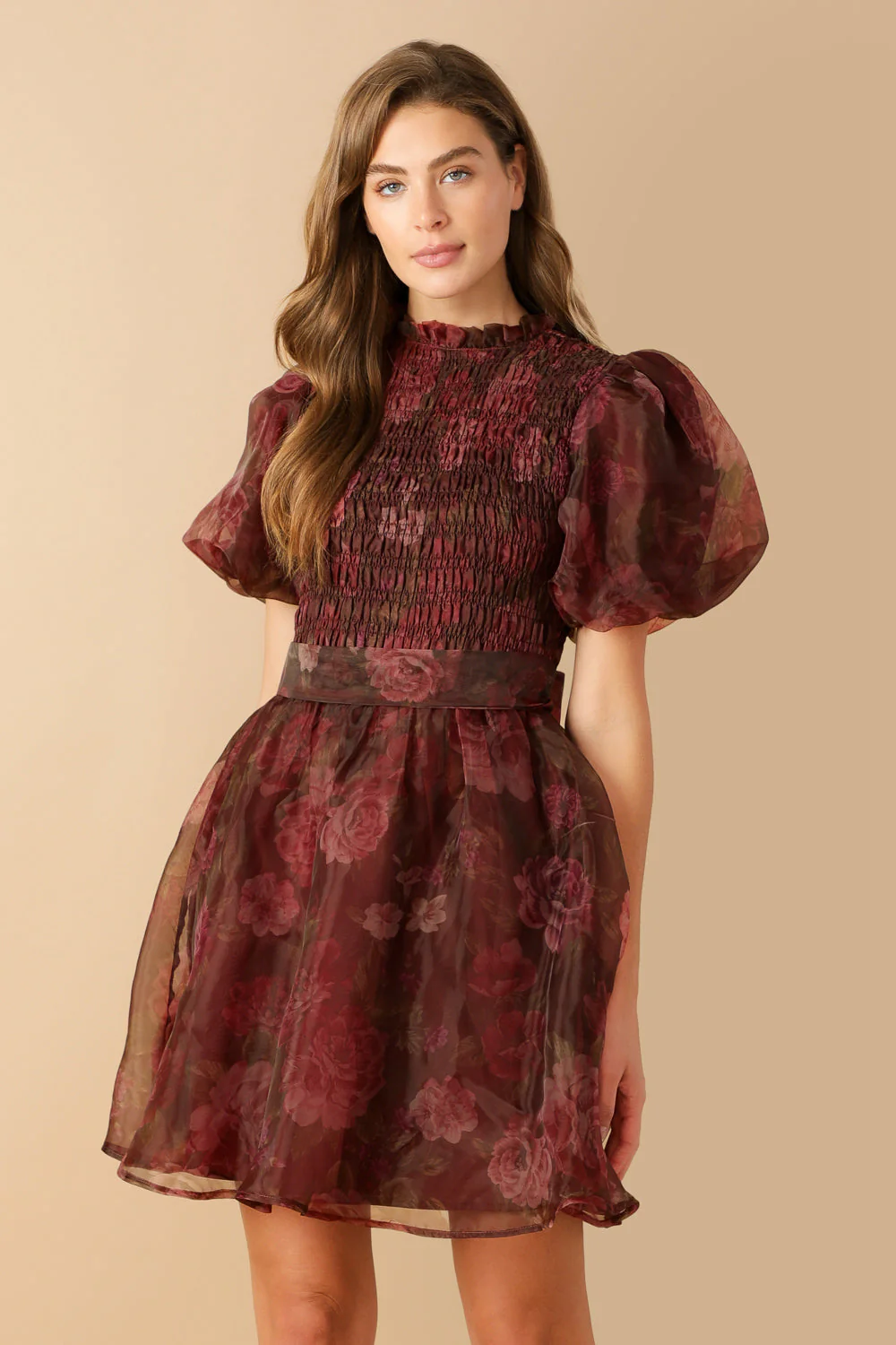 FLITTERING DREAMS WOVEN ORGANZA MINI DRESS - Image 5